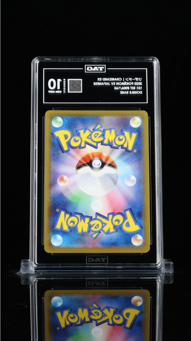 Charizard Tag 10